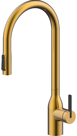 Paulmark Un213880-BG