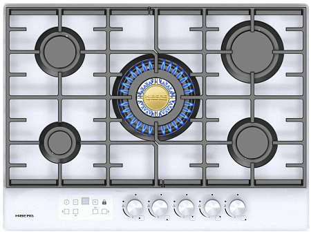 Hiberg VM 7255 W